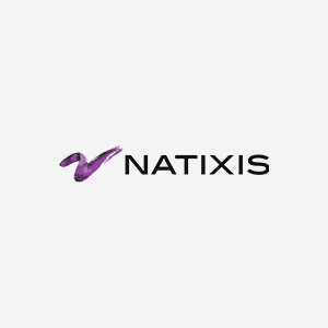 Natixis Logo